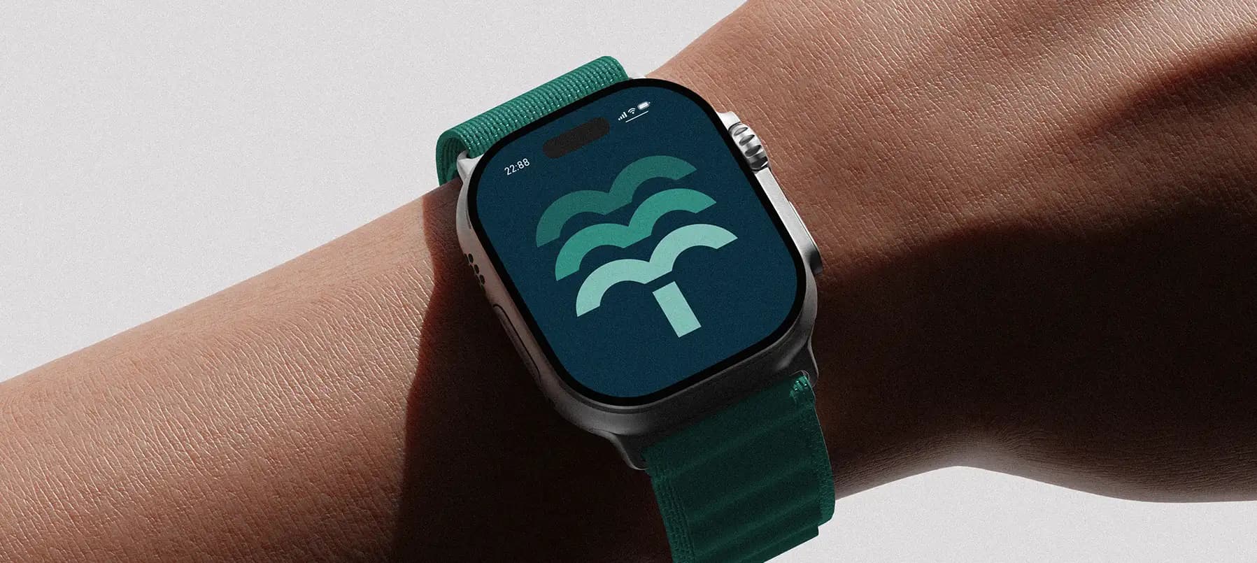 Palm Tree Covering